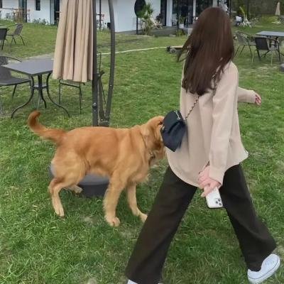烈火挚爱